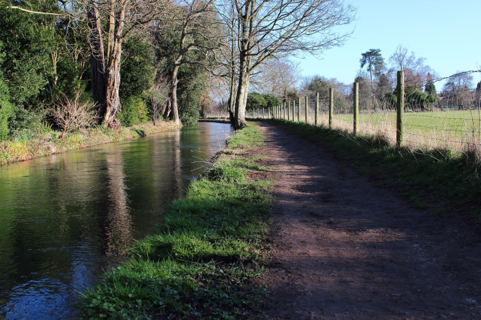 Pre-Carers Week Canalside Walk at Mercia Marina 